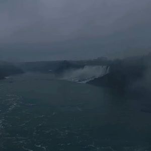 Meet your Posher, Pedro